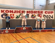 Sukcesy karateków