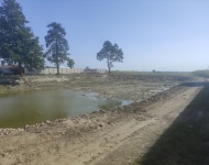 Rewitalizacja stawów