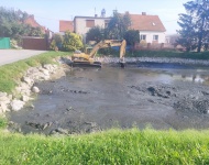 Rewitalizacja stawów