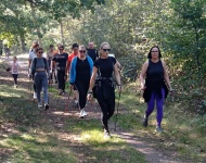 IV Leśny Marsz Po Zdrowie z Nordic Walking w Piaskach