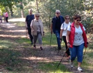 IV Leśny Marsz Po Zdrowie z Nordic Walking w Piaskach