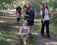 IV Leśny Marsz Po Zdrowie z Nordic Walking w Piaskach