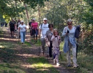 IV Leśny Marsz Po Zdrowie z Nordic Walking w Piaskach