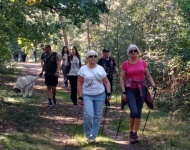 IV Leśny Marsz Po Zdrowie z Nordic Walking w Piaskach