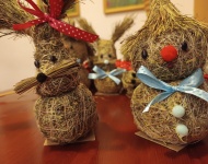  Zimowisko w Zawoi 