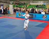 Sukcesy karateków