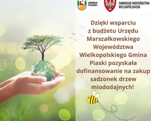 Sadzimy drzewa miododajne !