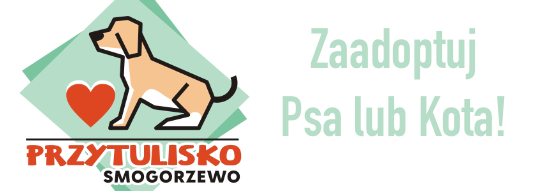 Przytulisko dla zwierząt